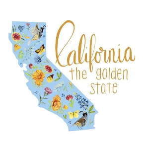 Golden Poppies California Panel White by Riley Blake Designs PD11805-WHITE